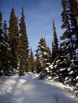 Hiking up the Tired Creek trail