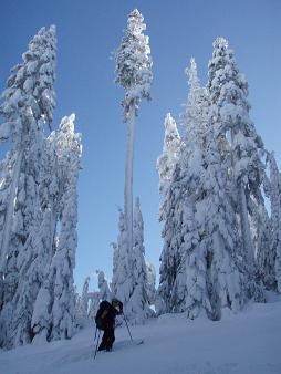 Ascending ridge north of Stampede Pass