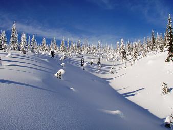 Skiing the south slope of Stampede Pass point 4,400+