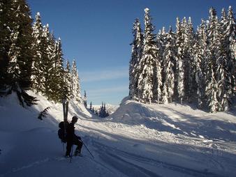 Stampede Pass