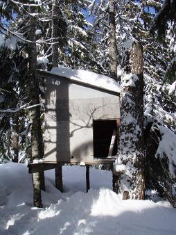 Shed on Snowshed Head