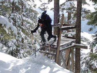 Platform on Snowshed Head