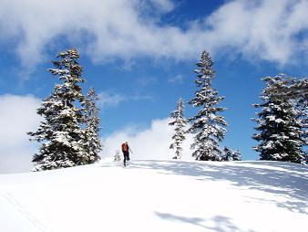 Top of Cave Ridge