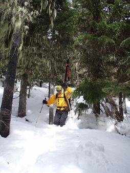 Note to self: avoid these trees on Cave Ridge