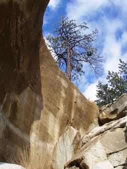 Limestone wall near the Teanaway Road