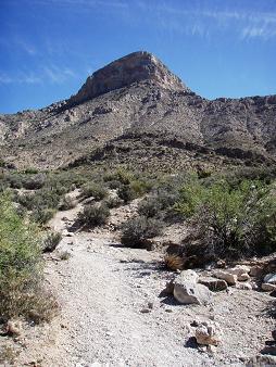 Turtlehead Mountain from the trail to the summit