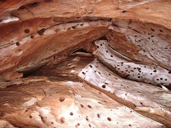 Sandstone on Kraft Mountain