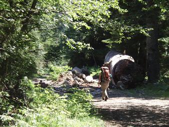 The huge log 100 feet before the start of the Hardscrabble path