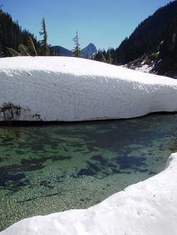 Avalanche deposits above Hardscrabble Lake