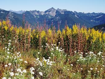 Kaleetan Peak from Thompson Point 5124