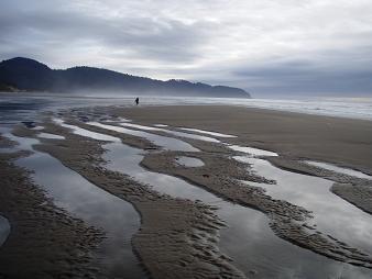 Netarts Spit beach