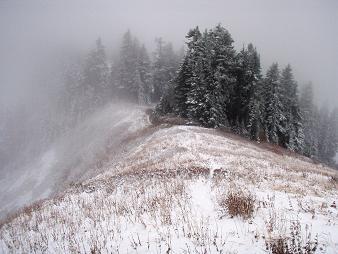 Slopes near the summit of Scorpion Mountain