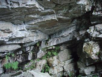 Quickdraws on the ceiling of The Actual Cave