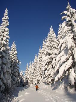 Skiing up Kendall Peak Lakes logging road