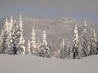 Rampart Ridge from Kendall Peak Lakes road