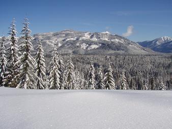 Keechelus Ridge from Stampede Pass Road