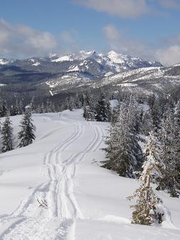 Silver, Tinkham, and Abiel from Dandy Mountain