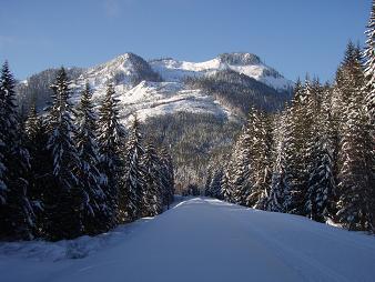 North side of Roaring Ridge from the John Wayne Pioneer Trail