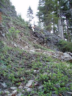 Scrambling on the east side of Little Comrade