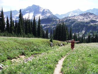 Meadow overload!