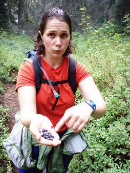 Want some huckleberries?