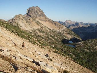 Tower Mountain from the SE ridge of Golden Horn