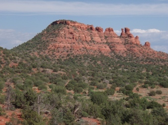 The Cockscomb