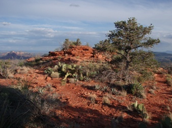 Summit of The Cockscomb