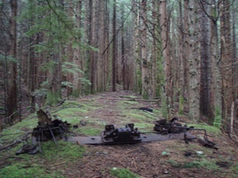 Sometimes the Pratt River trail looked like a road