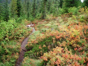 In the lake basin between Defiance, Bandera, and Pratt