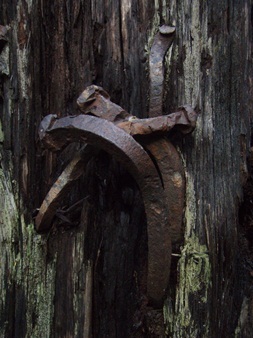 Lumberjack art by Hall Creek