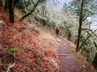 We descend to the highway via the trail