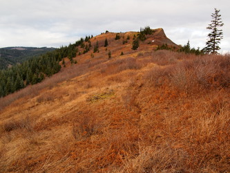 Faint trail leading to the summit of Hardy Ridge.