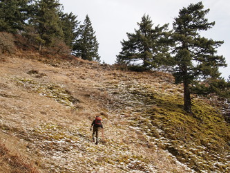 A mossy meadow above the cliff band.