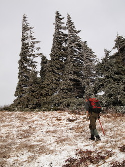 On the summit of Cook Hill.  The west side was a grassy meadow, the east side was forested.