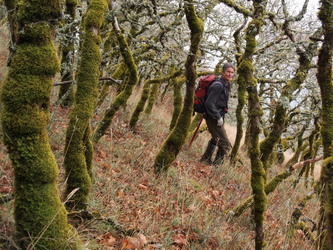 We passed through a few stands of scrub oak.