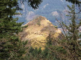 Peek-a-boo view of our second destination, Cooks Point 574.  There is a deer barely visible on the left side of the meadowed slope.