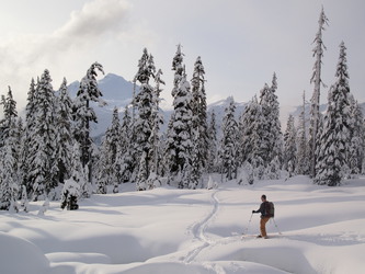 Matt admiring Mount Baker