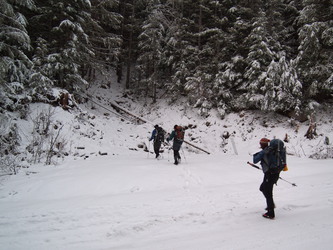 Into the woods and up Humpback's NW ridge.  We started on Hansen Creek Road a few hundred feet north of the old railroad grade bridge where the road crosses the nose of the NW ridge.