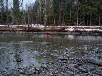 Matt fording the Stillaguamish at 7:30 AM