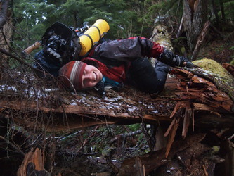 Crawling over blowdown