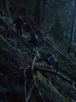 Chest deep in brush and it is almost dark