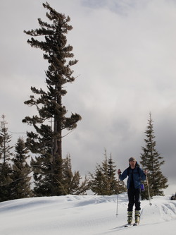 On the summit of Old Pass Hill