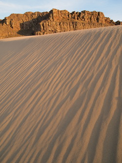 The dune started abruptly with a steep climb up 20 feet