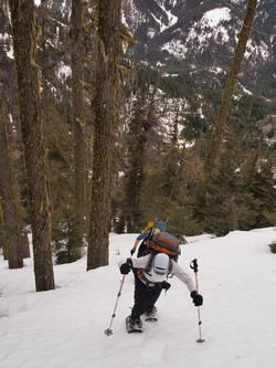 After the trail head we ascended steep forested slopes for a few thousand feet.