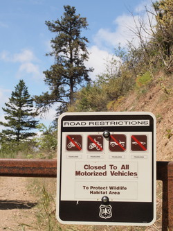 I parked at the intersection of Derby Canyon Road and Road 7403 (3.4 miles after the pavement ends) and hiked up the gated Road 7403