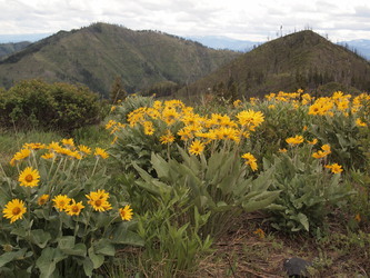 Blag Mountain and Humility Hill from point 4250