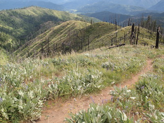 Looking down the Xanadu trail (http://www.trailwiki.us/wiki/Xanadu)