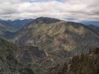 Icicle Ridge