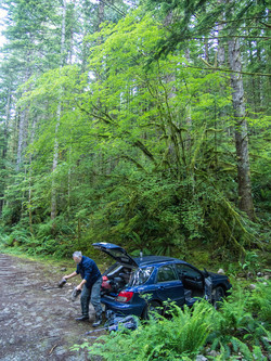 Our parking spot at the "trail head" for Green Ridge, on the Middle Fork Road 4.5 miles after the Taylor River bridge